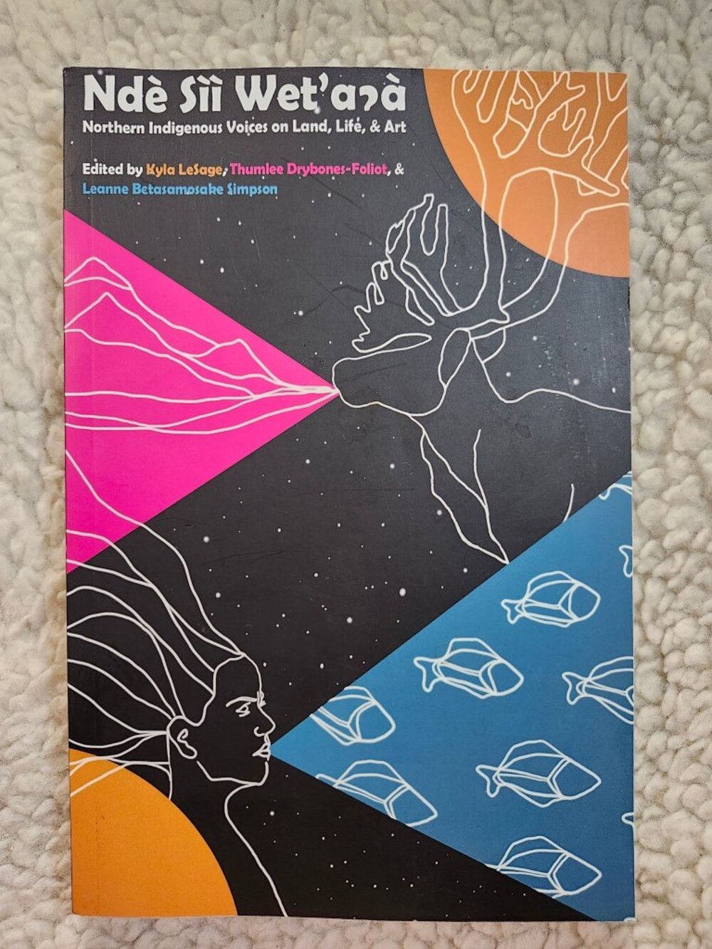 Ndè Sìì Wet'a?à Northern Indigenous Voices on Land Life Art Paperback 2022
